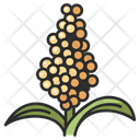 پیش‌نمایش فایل sorghum-3138510 از پک میوه و سبزیجات