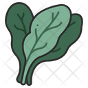 پیش‌نمایش فایل spinach-3138570 از پک میوه و سبزیجات