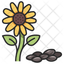 پیش‌نمایش فایل sunflower-3138506 از پک میوه و سبزیجات