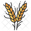 پیش‌نمایش فایل wheat-3138492 از پک میوه و سبزیجات