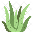 پیش‌نمایش فایل aloevera-3138620 از پک میوه و سبزیجات