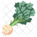 پیش‌نمایش فایل celeriac-3138585 از پک میوه و سبزیجات