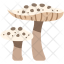 پیش‌نمایش فایل mushroom-3138628 از پک میوه و سبزیجات
