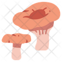 پیش‌نمایش فایل mushroom-3138669 از پک میوه و سبزیجات