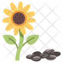 پیش‌نمایش فایل sunflower-3138607 از پک میوه و سبزیجات