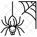 پیش‌نمایش فایل spider-web-4056437 از پک بقا