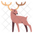 پیش‌نمایش فایل deer-4056408 از پک بقا