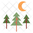 پیش‌نمایش فایل forest-night-4056422 از پک بقا
