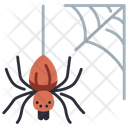 پیش‌نمایش فایل spider-web-4056417 از پک بقا
