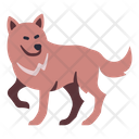 پیش‌نمایش فایل wolf-4056404 از پک بقا