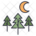 پیش‌نمایش فایل forest-night-4056389 از پک بقا