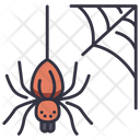 پیش‌نمایش فایل spider-web-4056384 از پک بقا