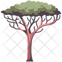 پیش‌نمایش فایل africa-tree-4056731 از پک المان جنگل