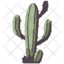 پیش‌نمایش فایل cactus-4056733 از پک المان جنگل