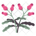 پیش‌نمایش فایل flower-4056718 از پک المان جنگل