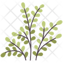پیش‌نمایش فایل plants-4056722 از پک المان جنگل