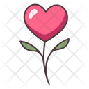 پیش‌نمایش فایل flower-4056874 از پک عشق
