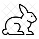 پیش‌نمایش فایل rabbit-4925672 از پک دامپزشکی حیوانات خانگی