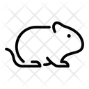 پیش‌نمایش فایل rat-4925694 از پک دامپزشکی حیوانات خانگی