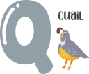 پیش‌نمایش فایل quail-11676058 از پک الفبای حیوانات