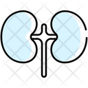 پیش‌نمایش فایل organ-10503246 از پک پزشکی