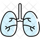 پیش‌نمایش فایل organ-10503247 از پک پزشکی
