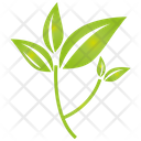 پیش‌نمایش فایل leaf-707 از پک درخت