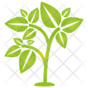 پیش‌نمایش فایل tree-1272 از پک درخت
