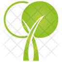 پیش‌نمایش فایل tree-1273 از پک درخت