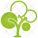 پیش‌نمایش فایل tree-1274 از پک درخت