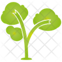 پیش‌نمایش فایل tree-1279 از پک درخت