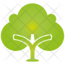پیش‌نمایش فایل tree-1282 از پک درخت