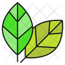 پیش‌نمایش فایل leaves-3005868 از پک کمپینگ و پیاده روی
