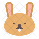 پیش‌نمایش فایل rabbit-6709334 از پک صورت حیوان