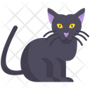 پیش‌نمایش فایل cat-9768669 از پک هالووین