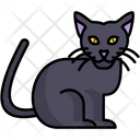 پیش‌نمایش فایل cat-9863765 از پک هالووین