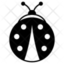 پیش‌نمایش فایل bug-186 از پک پاییز