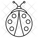 پیش‌نمایش فایل bug-188 از پک پاییز