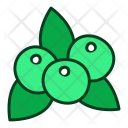 پیش‌نمایش فایل blueberry-59 از پک میوه‌ها و سبزیجات V2