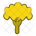پیش‌نمایش فایل broccoli-79 از پک میوه‌ها و سبزیجات V2