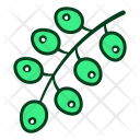 پیش‌نمایش فایل currant-1 از پک میوه‌ها و سبزیجات V2