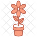 پیش‌نمایش فایل flower-697 از پک مطالعه و مدرسه