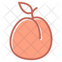 پیش‌نمایش فایل apricot-8 از پک میوه و سبزیجات