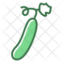 پیش‌نمایش فایل cucumber-58 از پک میوه و سبزیجات