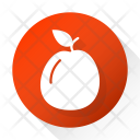 پیش‌نمایش فایل apricot-11 از پک میوه و سبزیجات