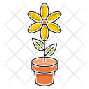 پیش‌نمایش فایل flower-918 از پک مطالعه و آموزش