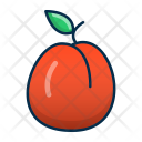 پیش‌نمایش فایل apricot-13 از پک میوه و سبزیجات