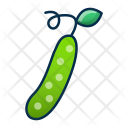پیش‌نمایش فایل cucumber-73 از پک میوه و سبزیجات