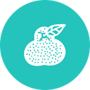 پیش‌نمایش فایل food-kitchen-fruit-guava-amrood-helthy-fresh-1 از پک غذا