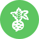 پیش‌نمایش فایل food-kitchen-vegetable-beet-root-radish-healthy از پک غذا